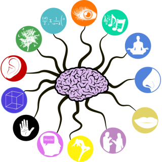 Sensory Profile Test