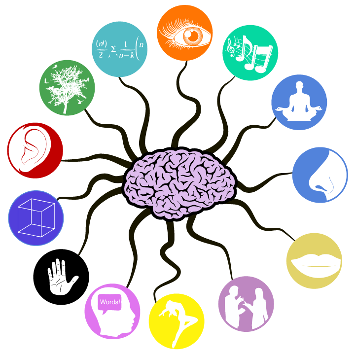 Sensory Profile Test